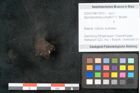Foto (Objekt + Etikett) von Spondylostrobus smythii F.V. Mueller (NHMW-GEO-2024-0188-10410)